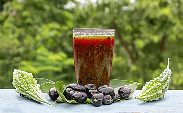 What to Consider When Purchasing Karela Jamun Juice for Optimal Health?