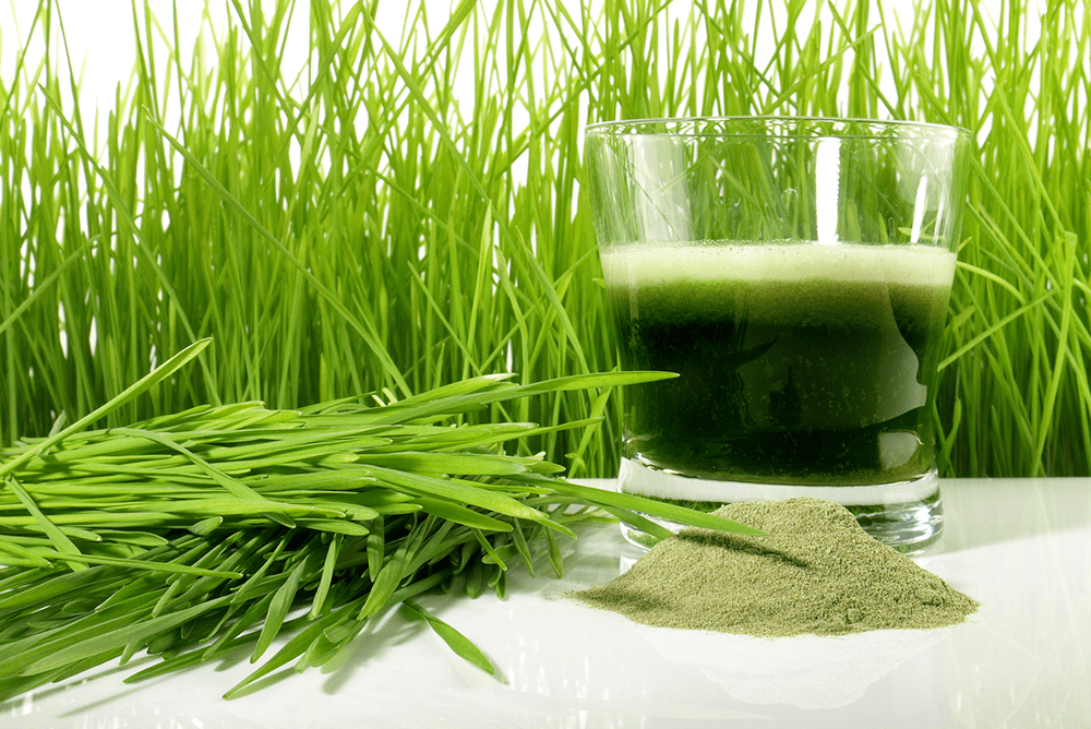 Wheatgrass Juice Benefits for Your Wellness