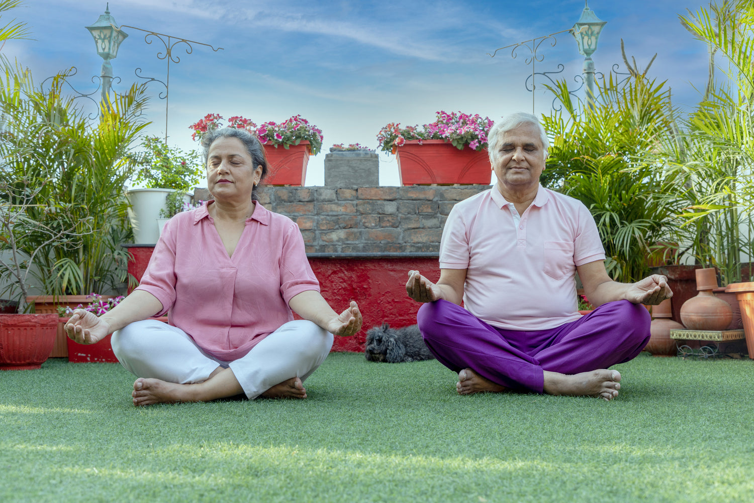 Hypertension Management: Integrating Lifestyle, Medication, Yoga, and Ayurveda