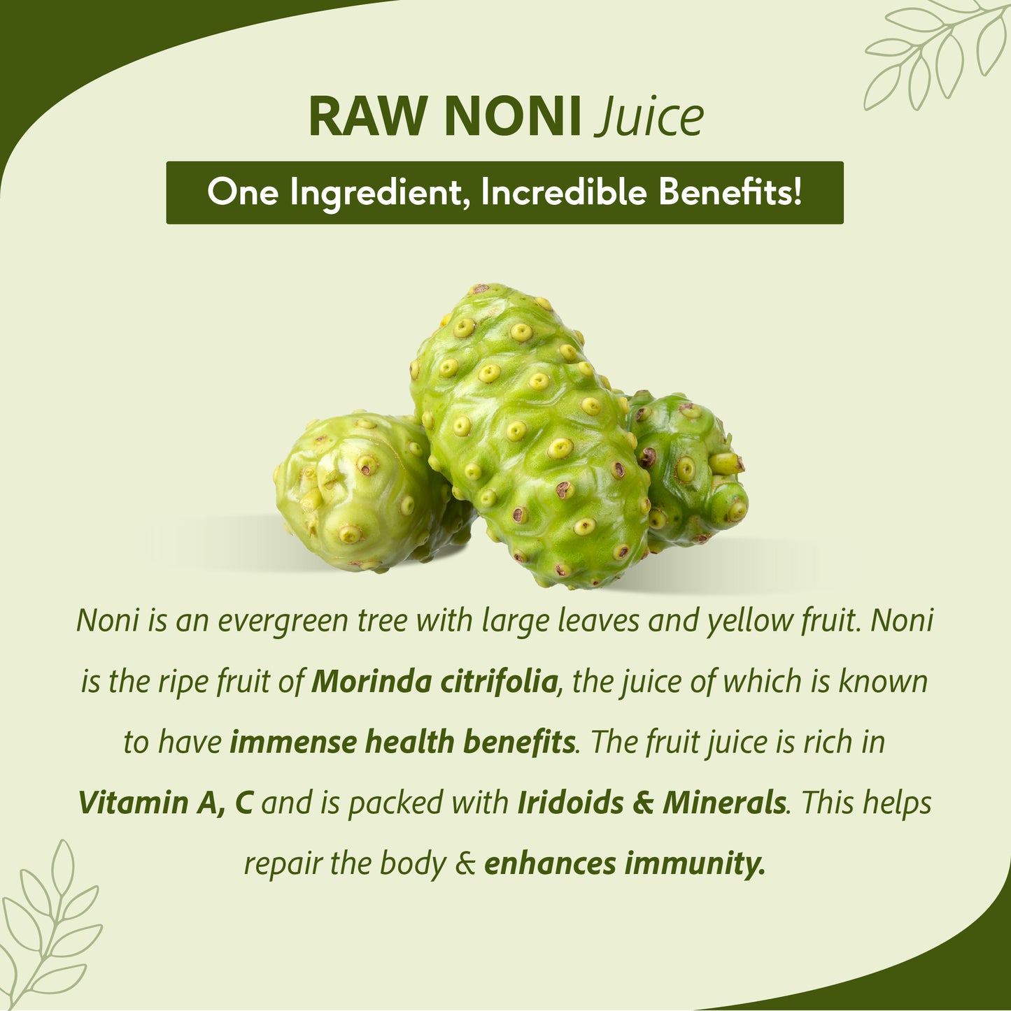 Raw Noni Juice - Holistic Health | Anti-inflammatory, Antioxidant, Immune Enhancing, Rich In Biotin & Vitamin C | 1 L