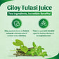 Giloy Tulasi Juice | 500 ml