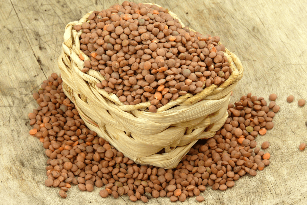 Ayurvedic benefits of horse gram (kulthi) for health