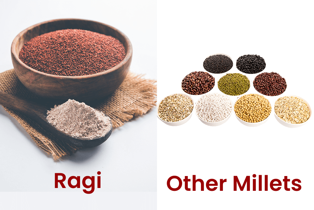 Ragi vs Other Millets: Which Millet is Best for Health?