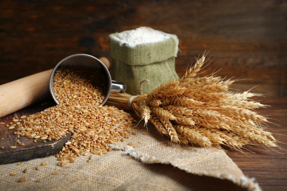 Sri Sri Tattva Sona Moti Emmer Wheat