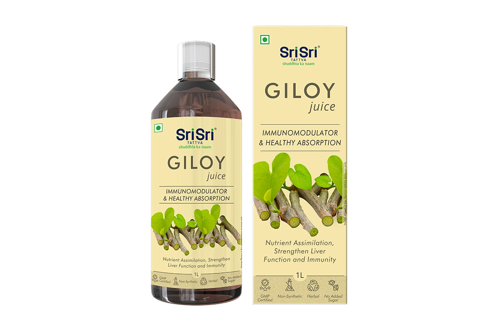 Why Giloy Juice Is Essential for Better Memory and Stronger Immunity?