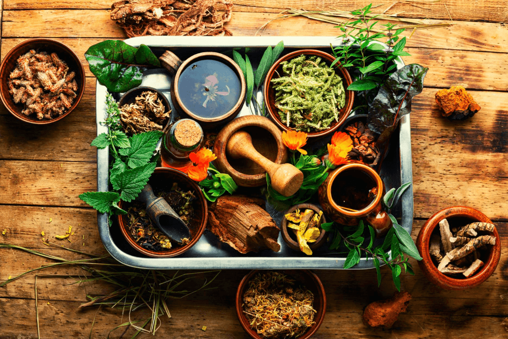 Why did Ayurveda thrive before the Web and become viral after it?