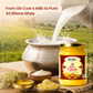 A2 Bilona Ghee, 500 ml