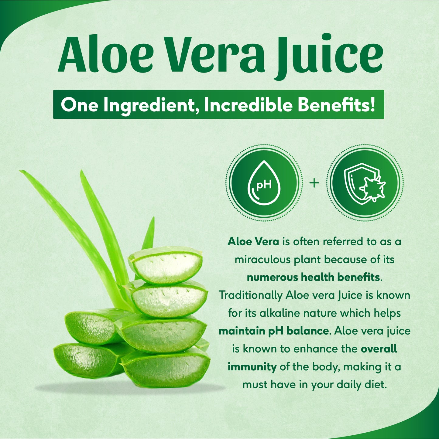 making aloe vera juice from plant Buy Aloe Vera Juice - 1L, No Added Sugar | Aloe Vera for Weight Loss