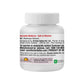 Dhatri Lauha - Iron Supplement, 30 Tabs | 300 mg