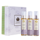 Head to Toe Essential Oil kit by Shankara - Shankara Naturals India - Premium Skincare 