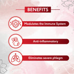 Kabasura Kudineer | Manages Respiratory Health | Helpful To Treat Dry & Wet Cough | Fights Viral Inflections | Natural Product | 60 Tabs, 500 mg