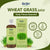 Wheat Grass Juice - Daily Fitness Essential | High In Nutrients & Antioxidants, Daily Detox, Overall Fitness | 1 L