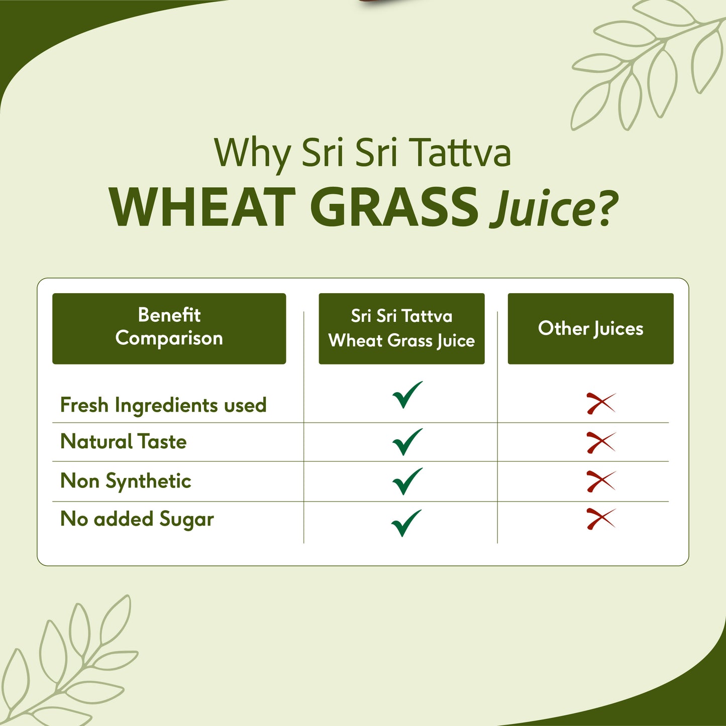 Wheat Grass Juice - Daily Fitness Essential | High In Nutrients & Antioxidants, Daily Detox, Overall Fitness | 1 L