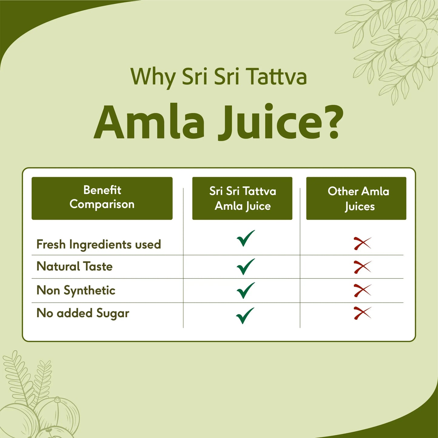 Amla Juice - No Added Sugar, 1000 ml - Sri Sri Tattva