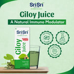 Giloy Juice | Enhances Memory, Improves Health | 1 L