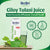 Giloy Tulasi Juice | 500ml