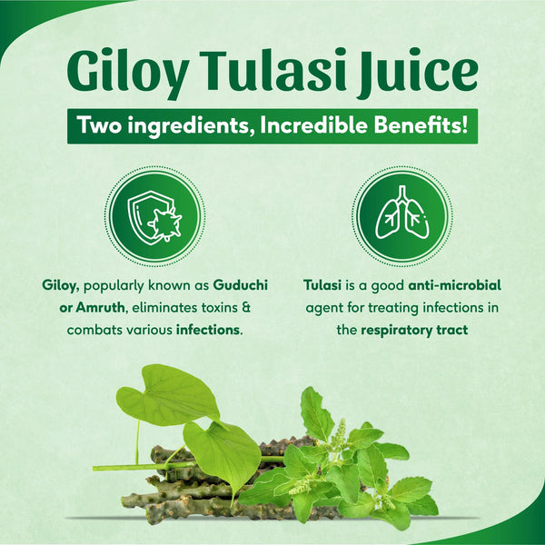 Giloy Tulasi Juice | 500ml