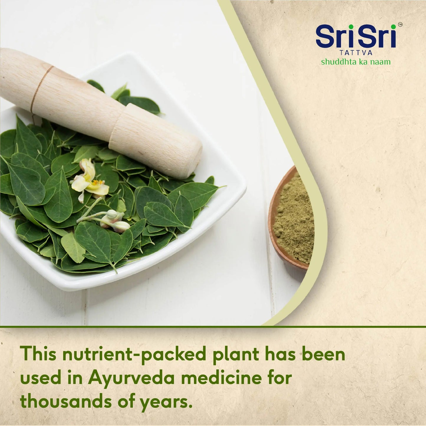 Moringa Powder, 100g - Sri Sri Tattva