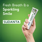 Sudanta Gel Toothpaste - With Charcoal & Salt. SLS Free. Non - Fluoride - 100% Vegetarian, 100g - Sri Sri Tattva