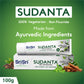 Sudanta Gel Toothpaste - With Charcoal & Salt. SLS Free. Non - Fluoride - 100% Vegetarian, 100g - Sri Sri Tattva