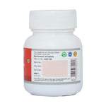 Dhatri Lauha - Iron Supplement, 30 Tabs | 300mg - Sri Sri Tattva